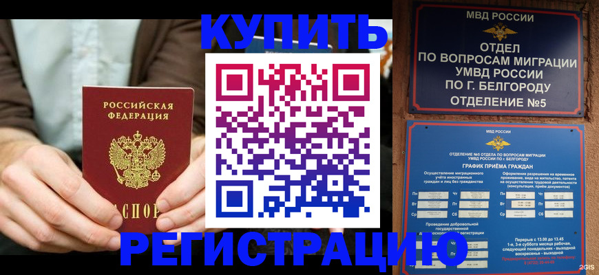 прописка 2025 в Козловке